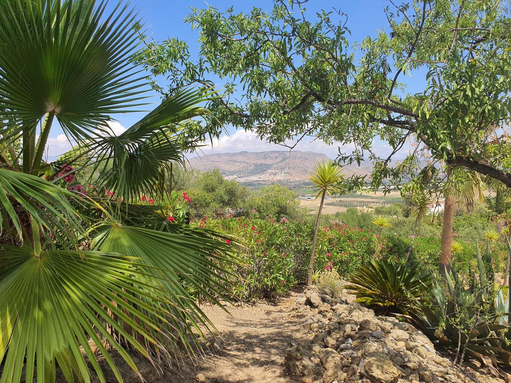 Finca Flamenco Holiday Suites Adults Only Pizarra Zewnętrze zdjęcie